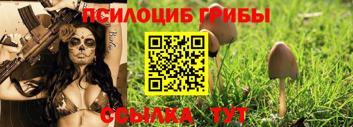 Тосно  Галлюциногенные грибы ЛСД  Вход с VPN 